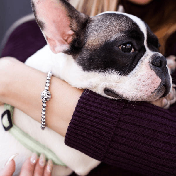 CRYSTAL PAW PRINT - NOGU.studio