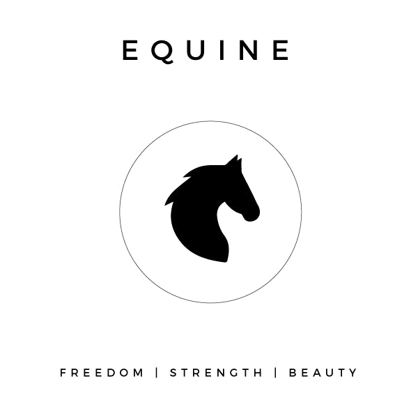 EQUINE - NOGU.studio