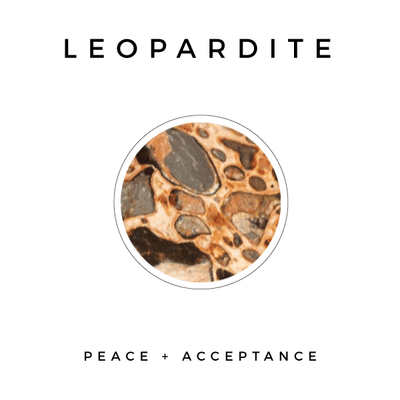 LEOPARDITE - NOGU.studio
