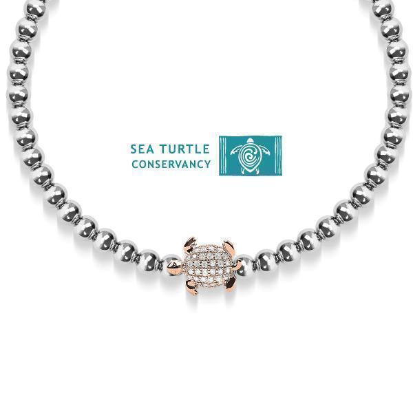 NOGU X SEA TURTLE CONSERVANCY - NOGU.studio