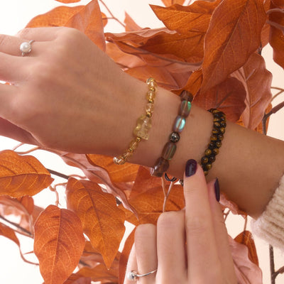 PUMPKIN SPICE - NOGU.studio