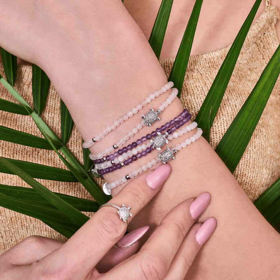 SEA TURTLES - NOGU.studio