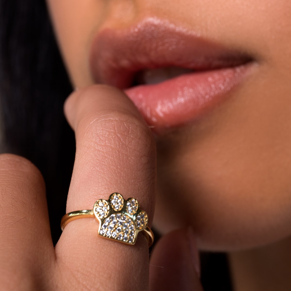 GIFTS FOR THE ANIMAL LOVER