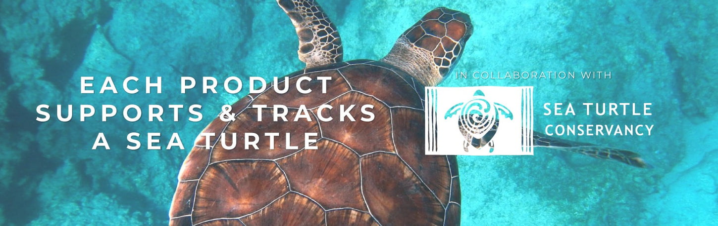 NOGU X SEA TURTLE CONSERVANCY