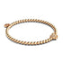 Sanctuary | 18k Rose Gold | Crystal Elephant Charm Bracelet