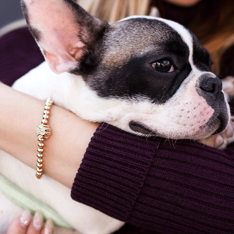 Paw | 18k Rose Gold | Crystal Pup Print