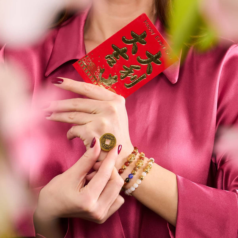 Mini Pixiu Feng Shui Bracelet | FIRE Element | Red Agate x 18k Gold