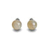 Grey Line Agate | .925 Sterling Silver | Gemstone Stud Earrings
