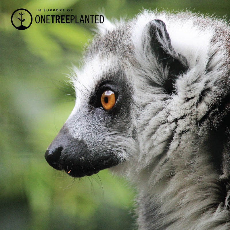 Lemur Links | Mini Kismet Bracelet | Peach x Silver