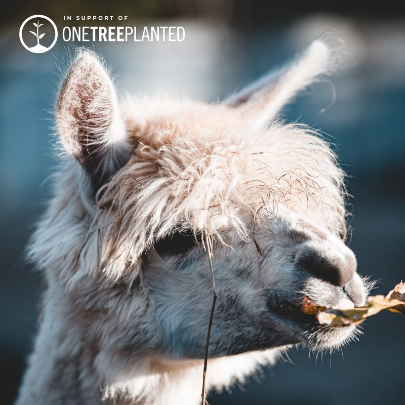 Llama Links | Mini Kismet Bracelet | Neon Yellow x Silver